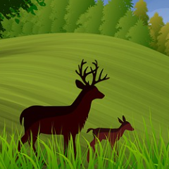 kai云体育app官网版下载官网